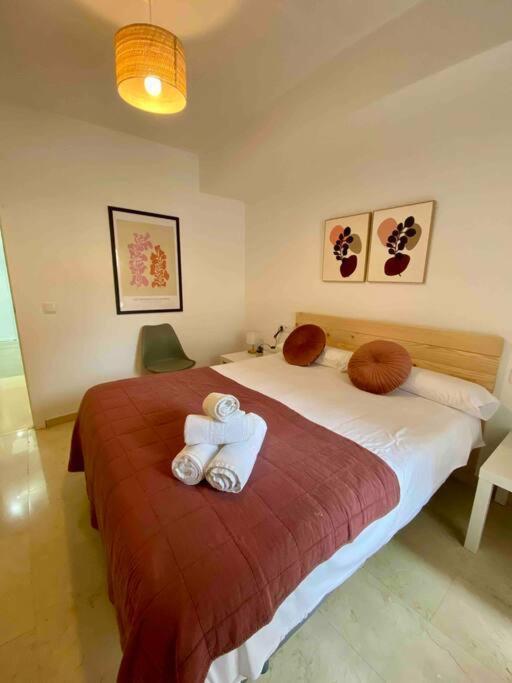 9773 Apartamento Corte 科爾多瓦 外观 照片