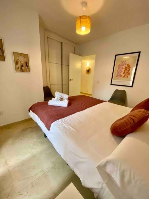 9773 Apartamento Corte 科爾多瓦 外观 照片
